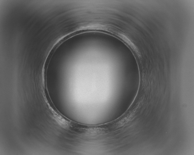 X0000076380988200610061120