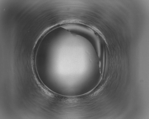 X0000076380989200610061120