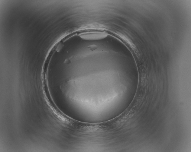 X0000076380990200610061120