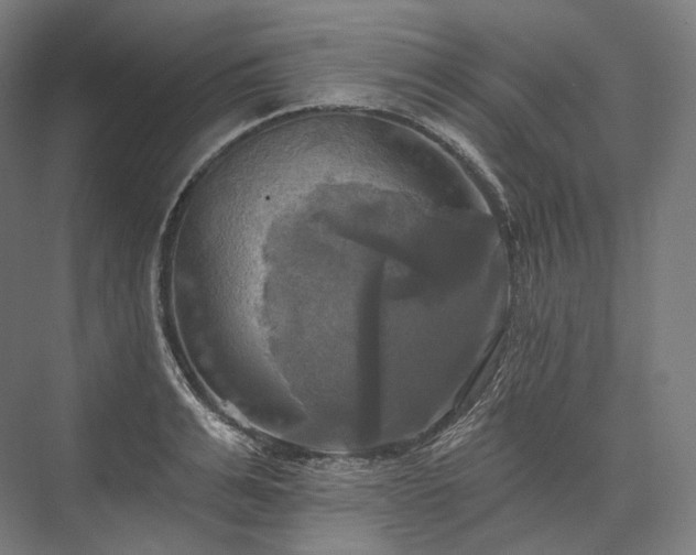 X0000076380991200610061120