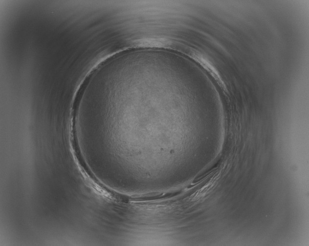 X0000076380992200610061120