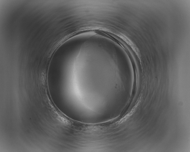 X0000076380993200610061120