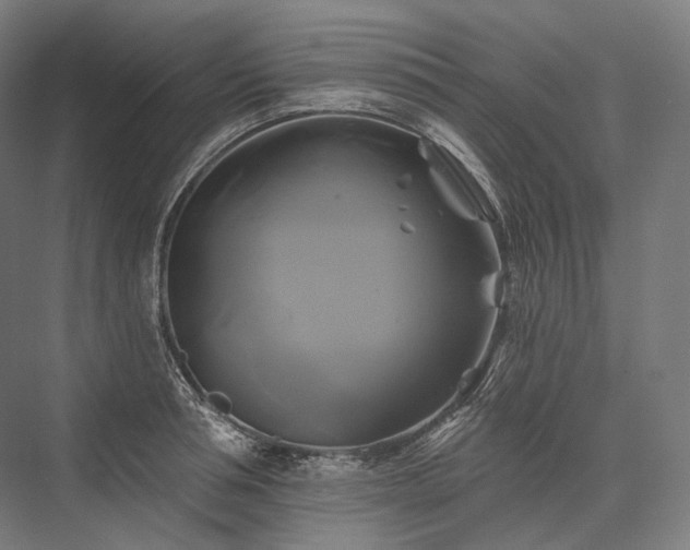 X0000076380994200610061120