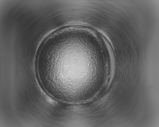 X0000076380995200610061120