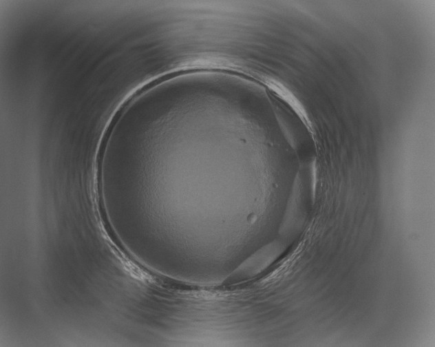 X0000076380996200610061120