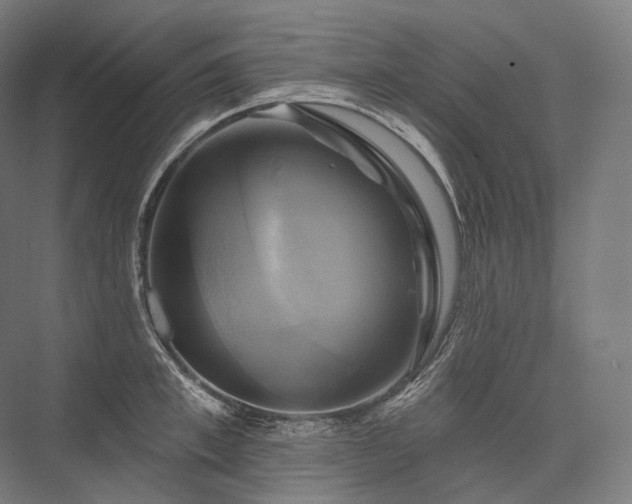 X0000076380997200610061120