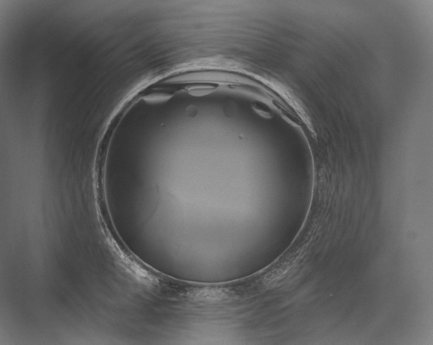 X0000076380998200610061120