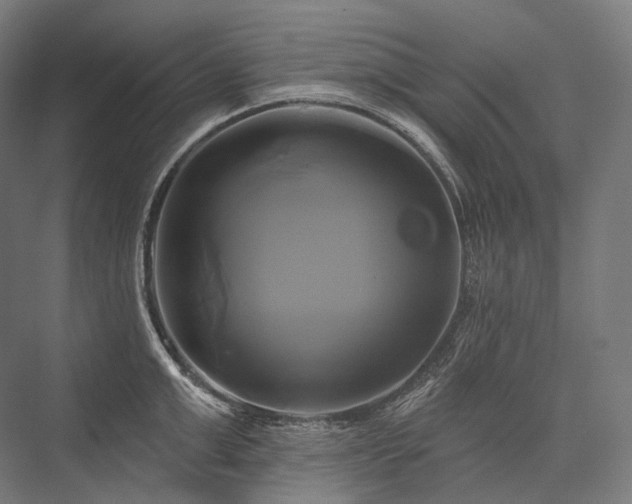 X0000076380999200610061120