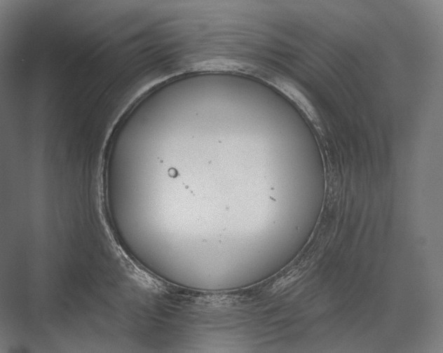 X0000076381000200610061120