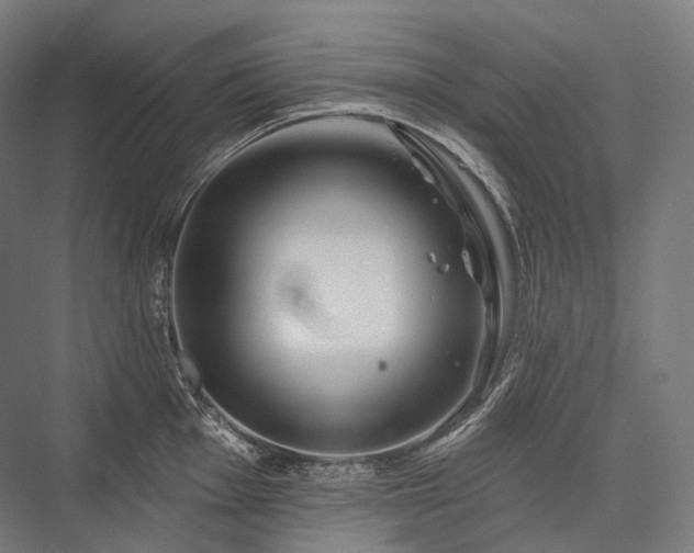 X0000076381001200610061120