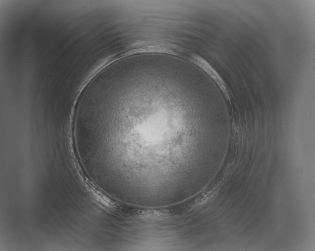 X0000076381002200610061119