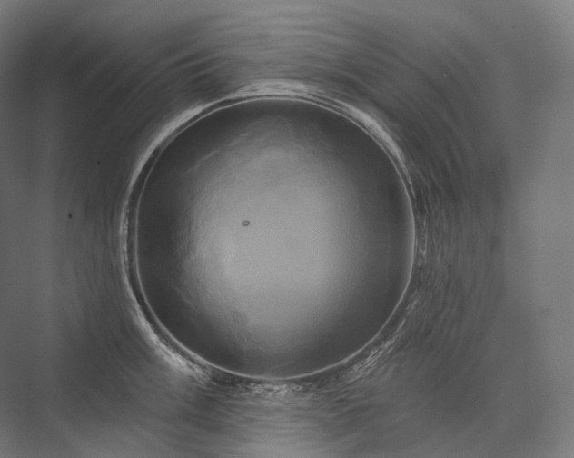 X0000076381003200610061119