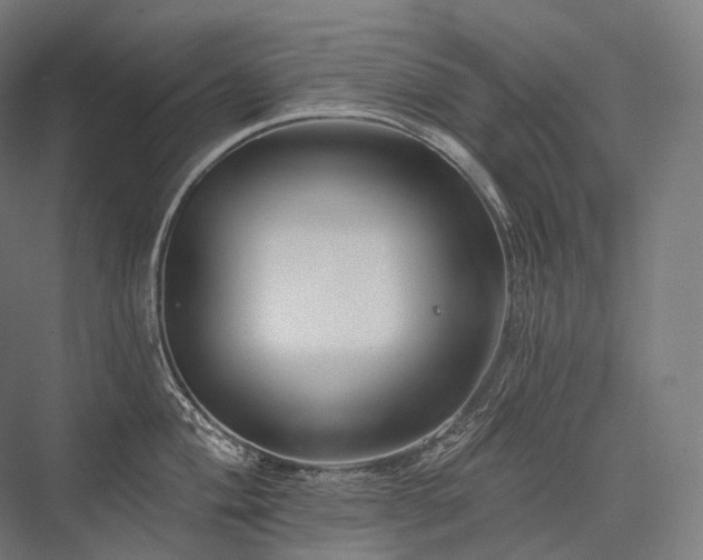 X0000076381004200610061119