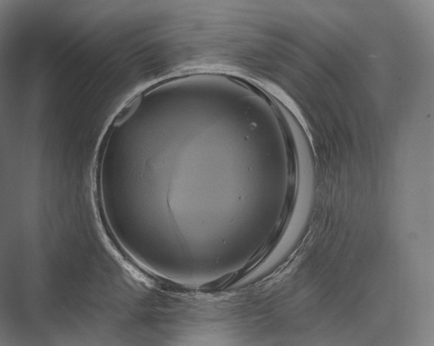 X0000076381005200610061119