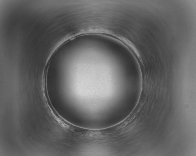 X0000076381006200610061119