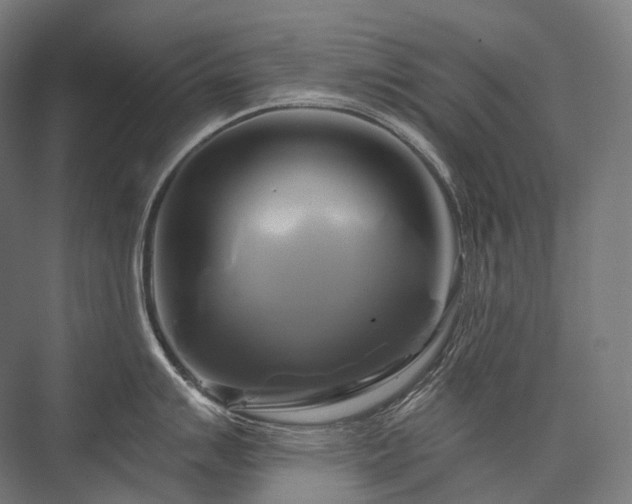 X0000076381007200610061119