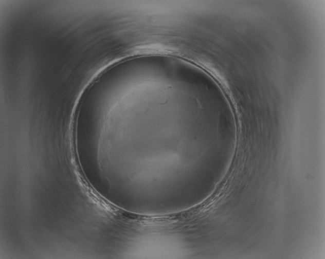 X0000076381008200610061119