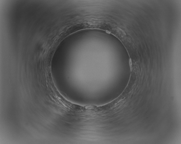 X0000076381009200610061119