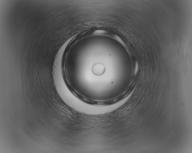 X0000076381010200610061119