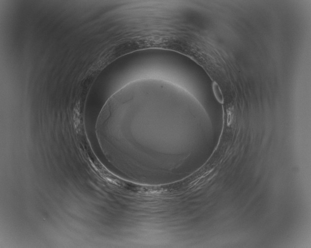 X0000076381011200610061119