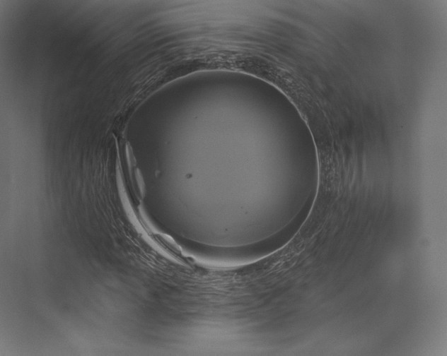 X0000076381013200610061119