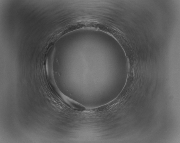 X0000076381014200610061119