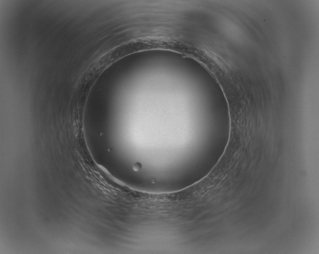 X0000076381015200610061119