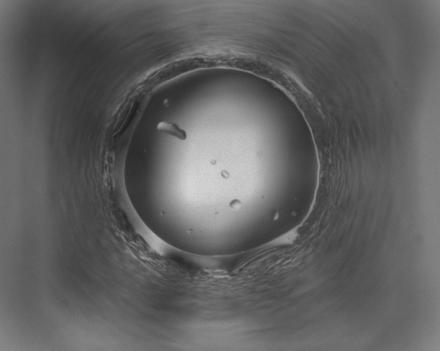 X0000076381016200610061119