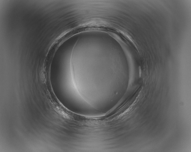 X0000076381018200610061119