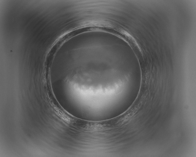 X0000076381019200610061119