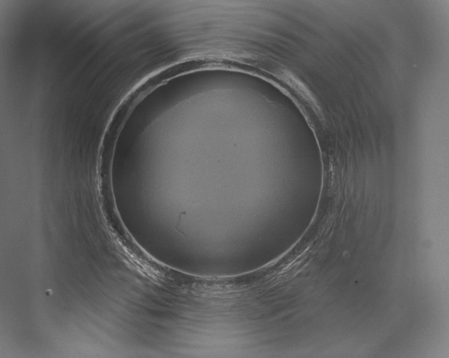 X0000076381020200610061119