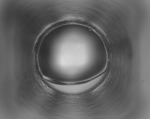 X0000076381021200610061119