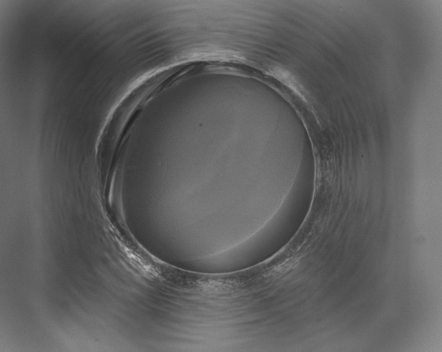 X0000076381022200610061119