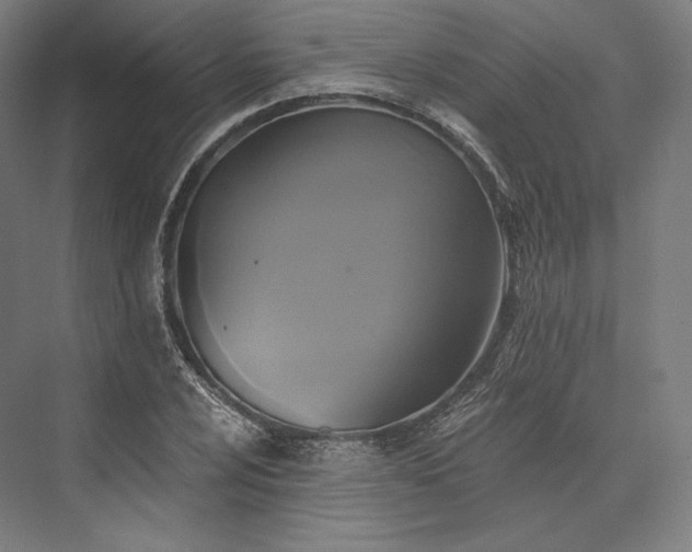 X0000076381024200610061119