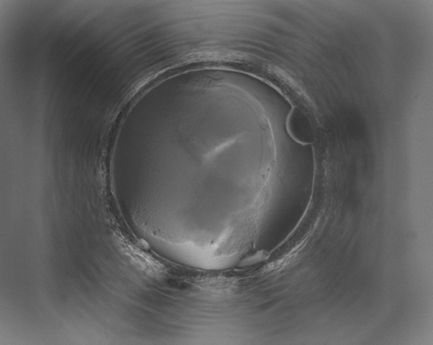 X0000076381025200610061119