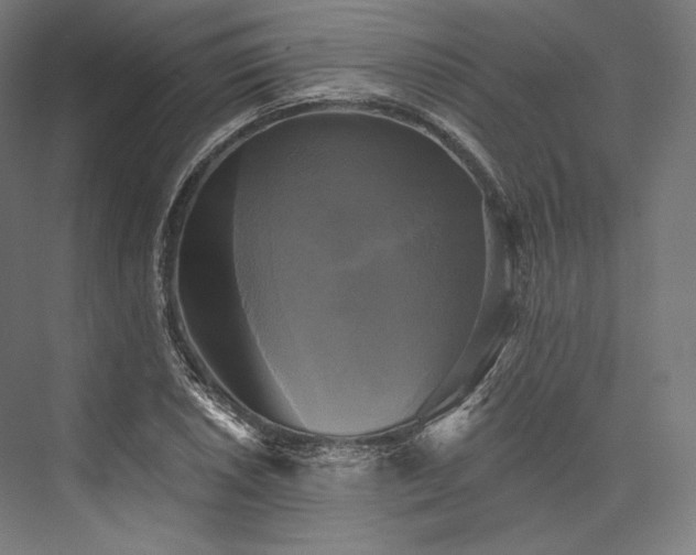 X0000076381026200610061119