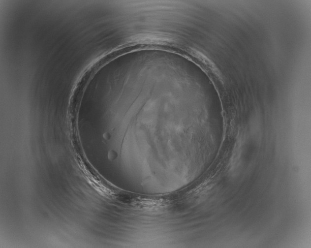 X0000076381027200610061119