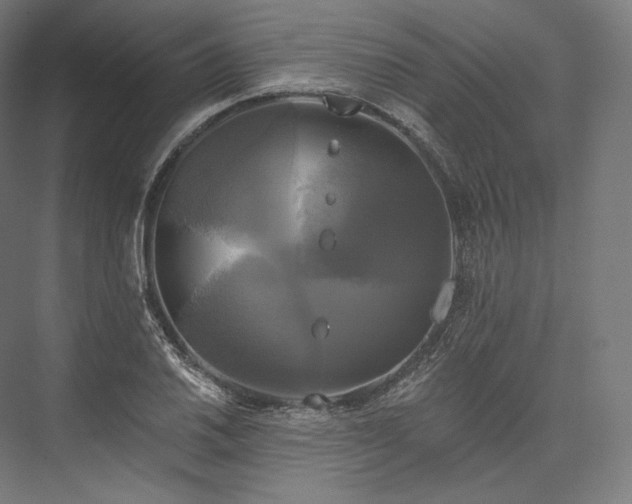 X0000076381030200610061119