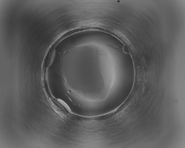 X0000076381031200610061119