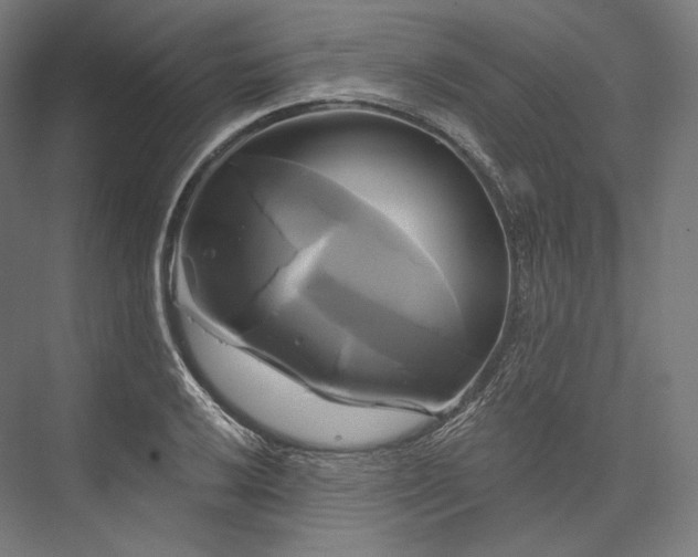 X0000076381032200610061119