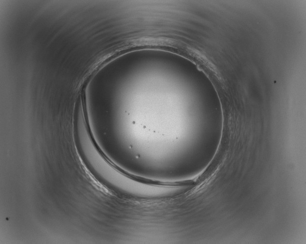 X0000076381033200610061119