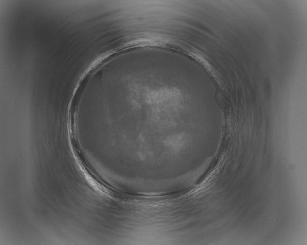 X0000076381034200610061119