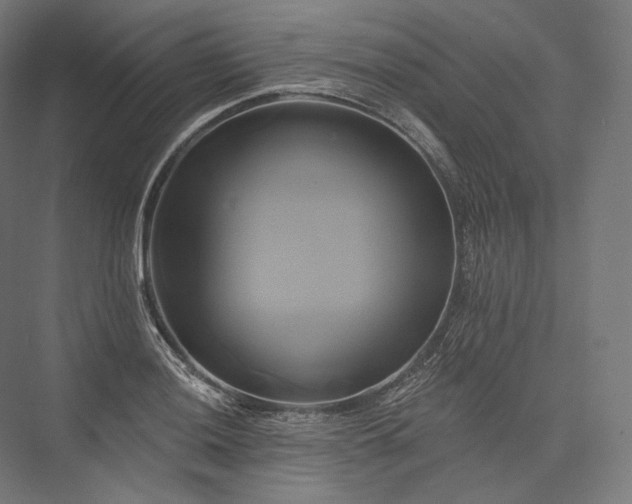 X0000076381036200610061119