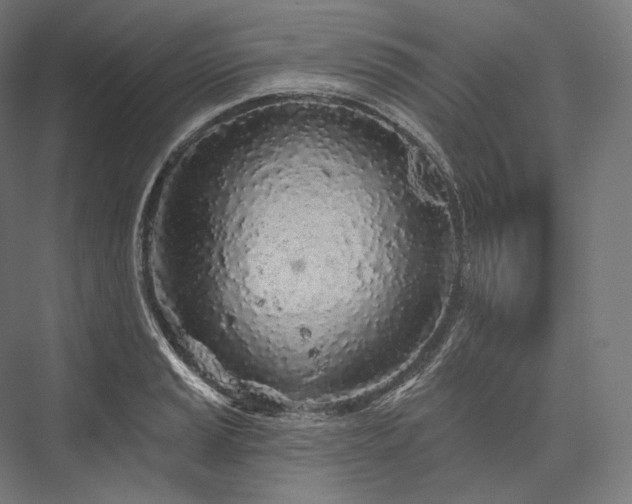 X0000076381037200610061119