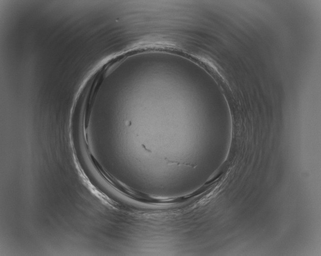 X0000076381038200610061119