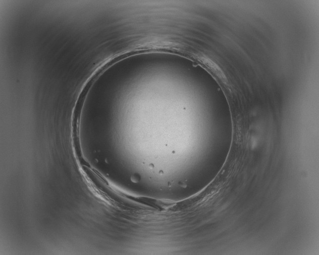 X0000076381039200610061119