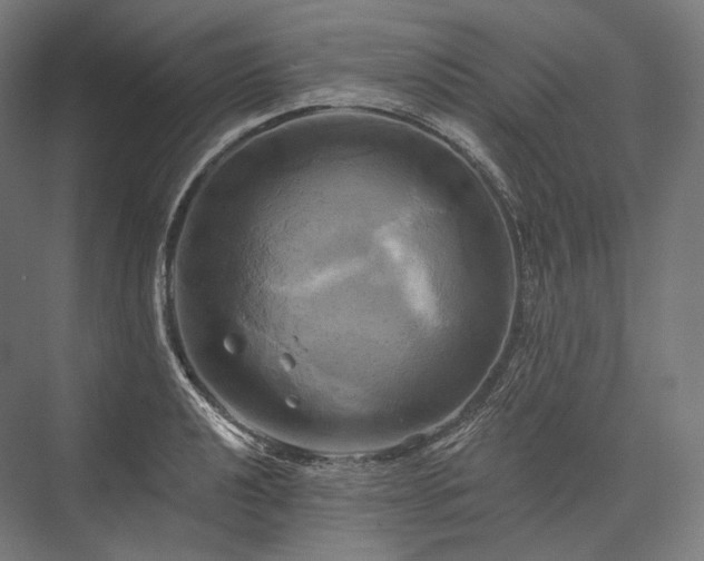 X0000076381040200610061119