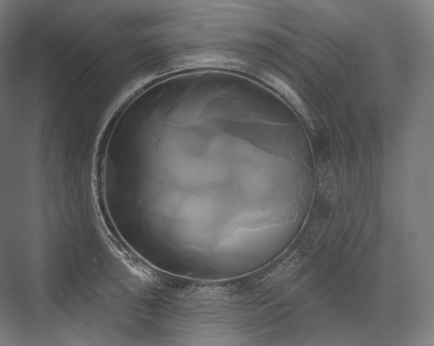 X0000076381043200610061119