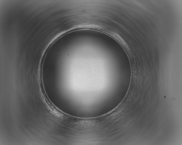 X0000076381044200610061119