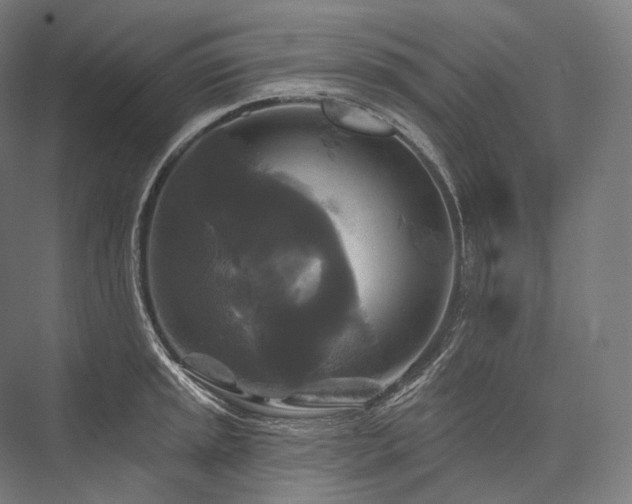 X0000076381045200610061119